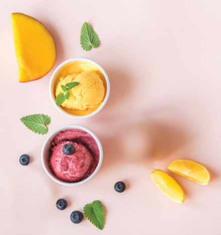 Tupperware Sorbet Sorbet